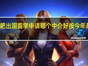 合肥出国留学申请哪个中介好按今年最新排名