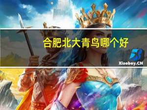 合肥北大青鸟哪个好