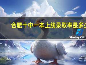 合肥十中一本上线录取率是多少
