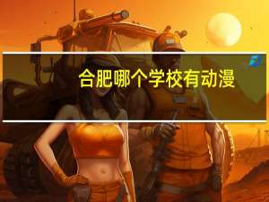 合肥哪个学校有动漫