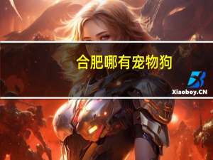 合肥哪有宠物狗