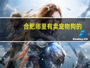 合肥哪里有卖宠物狗的