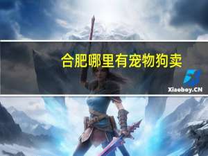 合肥哪里有宠物狗卖
