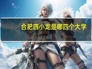 合肥四小龙是哪四个大学