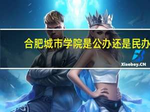 合肥城市学院是公办还是民办