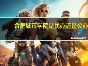 合肥城市学院是民办还是公办