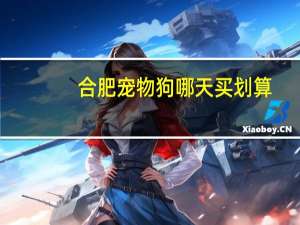合肥宠物狗哪天买划算