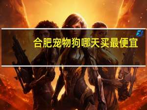 合肥宠物狗哪天买最便宜