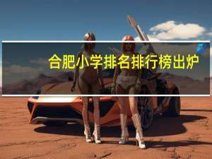 合肥小学排名排行榜出炉