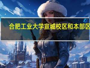 合肥工业大学宣城校区和本部区别