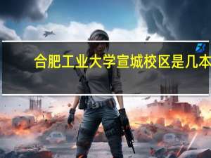 合肥工业大学宣城校区是几本