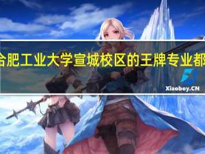 合肥工业大学宣城校区的王牌专业都有什么