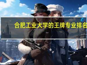 合肥工业大学的王牌专业排名