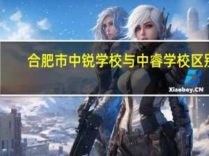 合肥市中锐学校与中睿学校区别