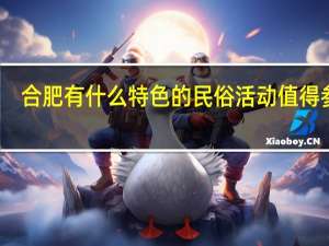合肥有什么特色的民俗活动值得参加