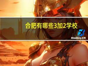 合肥有哪些3加2学校