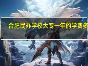 合肥民办学校大专一年的学费多少