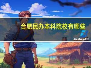合肥民办本科院校有哪些