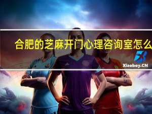 合肥的芝麻开门心理咨询室怎么样