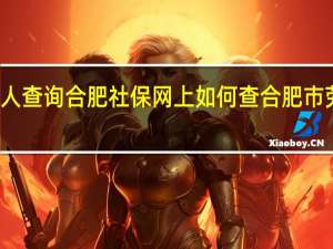 合肥社保个人查询合肥社保网上如何查 合肥市劳动和社会保障局