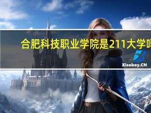 合肥科技职业学院是211大学吗