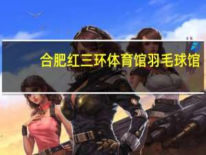 合肥红三环体育馆羽毛球馆（合肥红三环）