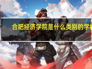合肥经济学院是什么类别的学校