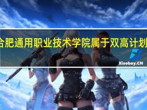 合肥通用职业技术学院属于双高计划院校吗