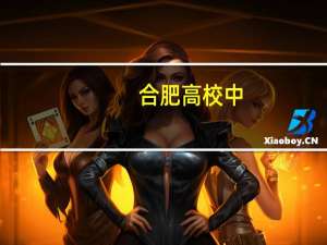 合肥高校中，哪些开设了会计专业