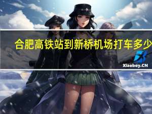 合肥高铁站到新桥机场打车多少钱（合肥高铁站打车去新桥飞机场要 多久）