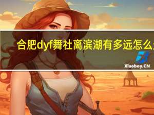 合肥dyf舞社离滨湖有多远怎么走