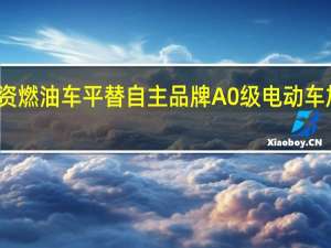 合资燃油车平替 自主品牌A0级电动车加速崛起