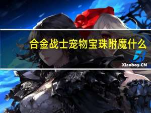 合金战士宠物宝珠附魔什么