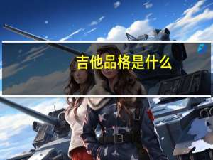 吉他品格是什么