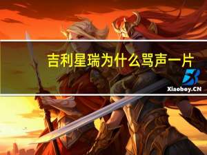 吉利星瑞为什么骂声一片