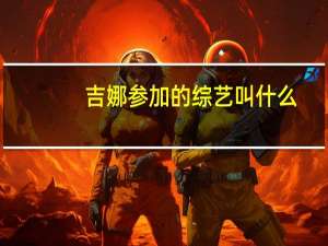 吉娜参加的综艺叫什么