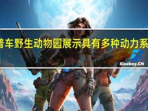 吉普车野生动物园展示具有多种动力系统的概念
