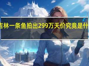 吉林一条鱼拍出299万天价 究竟是什么鱼呢？