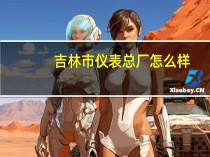 吉林市仪表总厂怎么样
