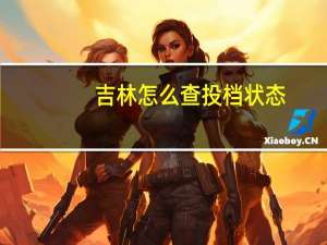 吉林怎么查投档状态