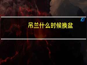吊兰什么时候换盆