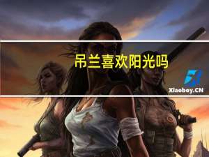 吊兰喜欢阳光吗