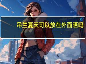 吊兰夏天可以放在外面晒吗