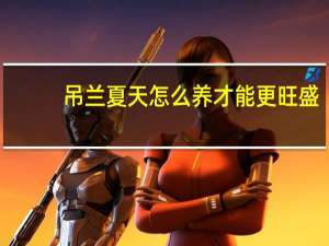吊兰夏天怎么养才能更旺盛