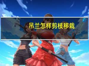 吊兰怎样剪枝移栽
