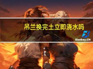 吊兰换完土立即浇水吗
