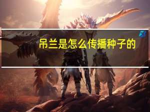 吊兰是怎么传播种子的