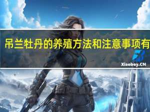 吊兰牡丹的养殖方法和注意事项有哪些