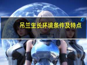 吊兰生长环境条件及特点