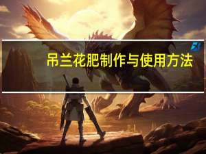 吊兰花肥制作与使用方法